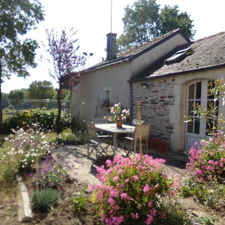 Gite De Bellerive Sainte-Gemme-sur-Loire Extérieur photo