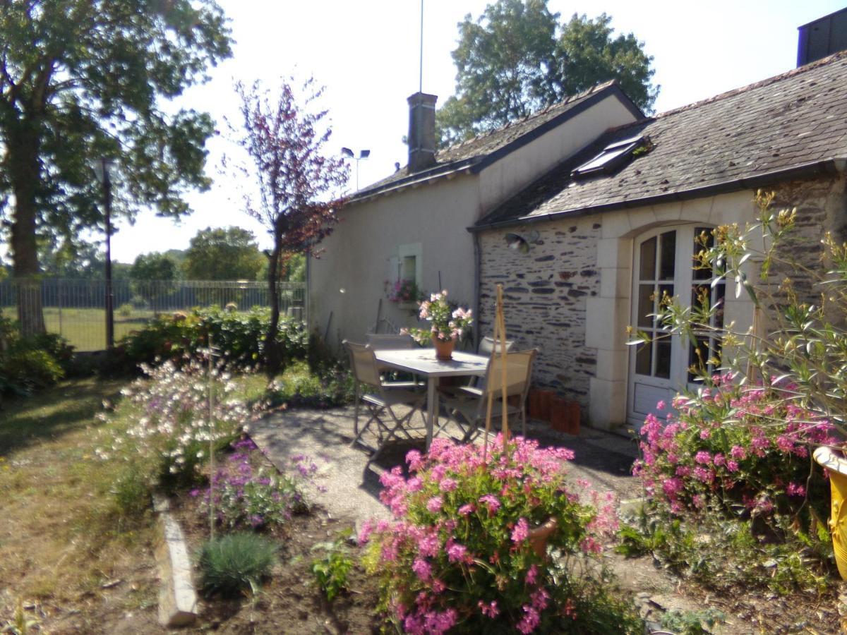 Gite De Bellerive Sainte-Gemme-sur-Loire Extérieur photo